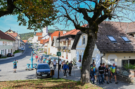 leskovec (80)